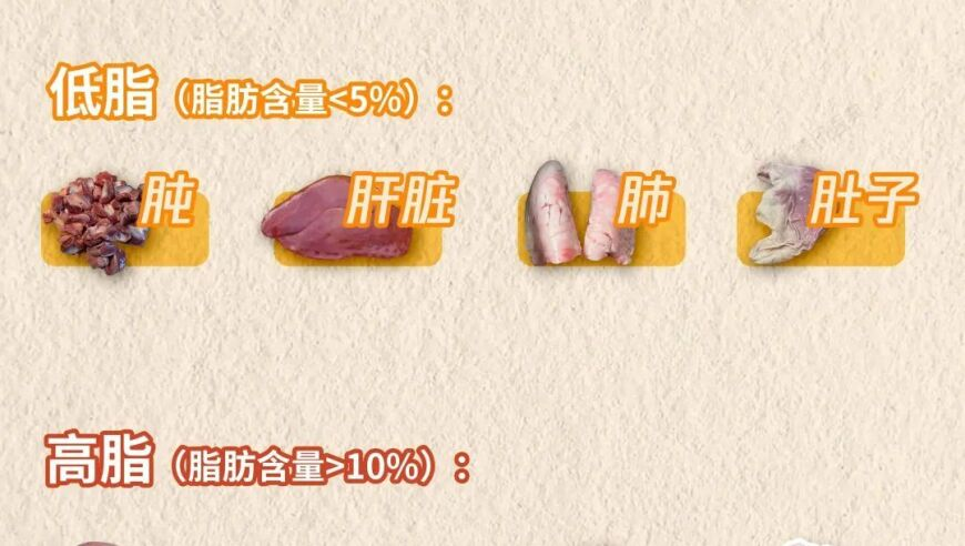 全国首个政府部门上线deepseek,香港48kuk澳门开奖记录,完美答案解释落实_免费版V13.65